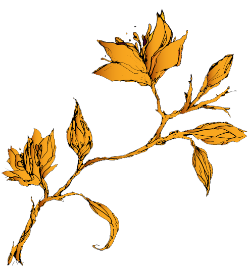 a_kukka-oranssi a_kukka-oranssi