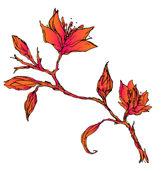 oranssi_ copy